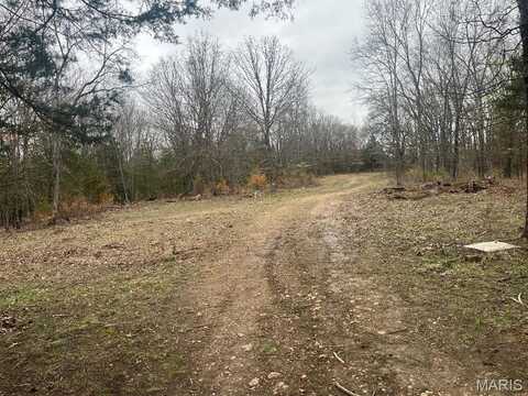 0 21.58 Ac Tract #6 Horstman Road, New Haven, MO 63068