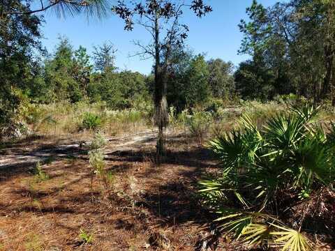 Xxx NE 96TH STREET, ARCHER, FL 32618