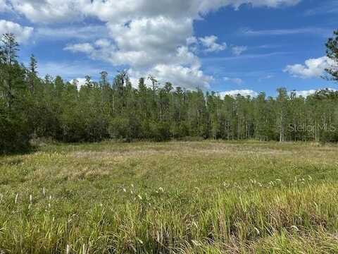 26545 C C LANE, WESLEY CHAPEL, FL 33544