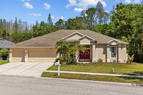 26249 SWORD DANCER DRIVE, WESLEY CHAPEL, FL 33544