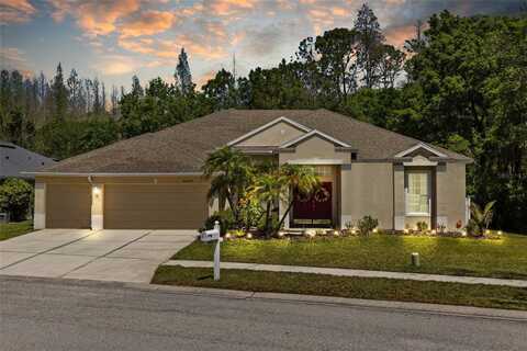 26249 SWORD DANCER DRIVE, WESLEY CHAPEL, FL 33544