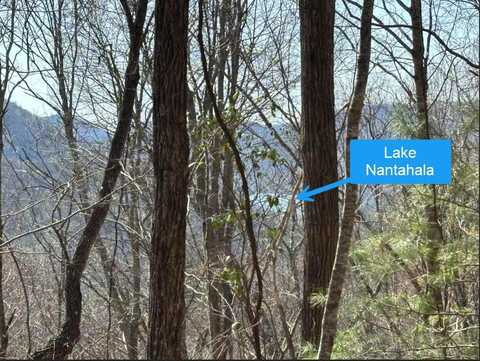 TBD Laurel Lane, NANTAHALA, NC 28781