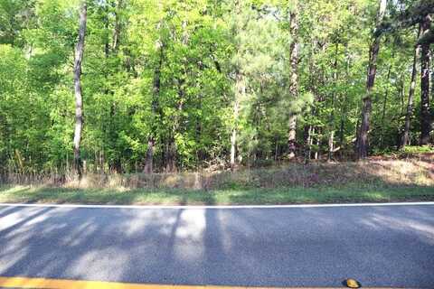 LT.46 LAKE SINCLAIR DR., Sparta, GA 31087