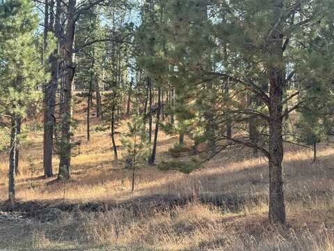 Lot 1 Lechner Lane, Custer, SD 57730