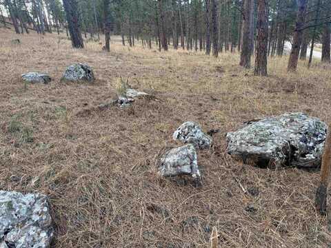 Lot 2 Lechner Lane, Custer, SD 57730