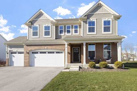16202 S Lake View Road, Plainfield, IL 60586