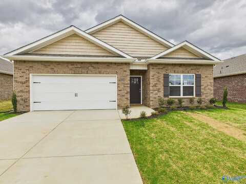12897 Golden Hay Circle, Madison, AL 35756