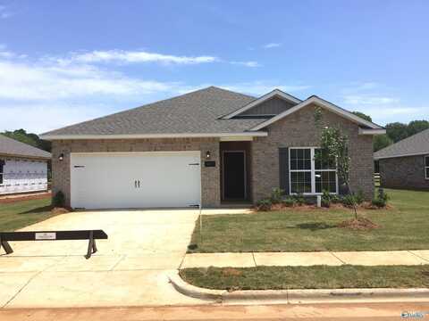 3217 Chestnut Court SE, Decatur, AL 35603
