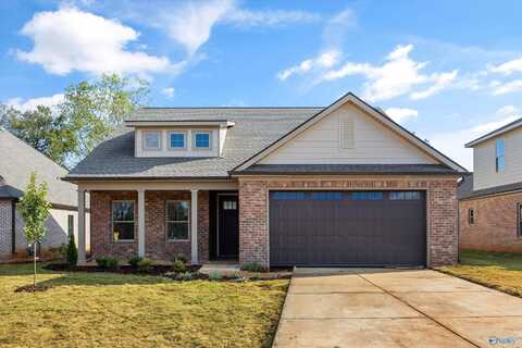 21774 Hemlock Drive, Athens, AL 35613