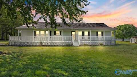 231 Dolphin Point Drive, Langston, AL 35755