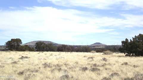 4796 E Palm Royal Lane, Williams, AZ 86046