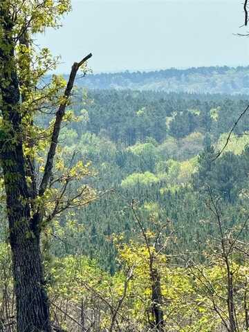 117 Hickory Hull Trail, Broken Bow, OK 74728