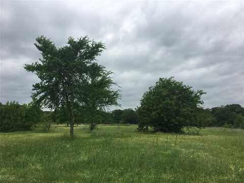19117 County Road 4051, Kemp, TX 75143