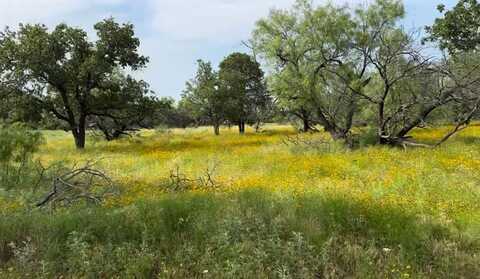 Tbd Jayden Lane, Loving, TX 76450