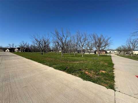 6011 Bonanza Drive, Granbury, TX 76049
