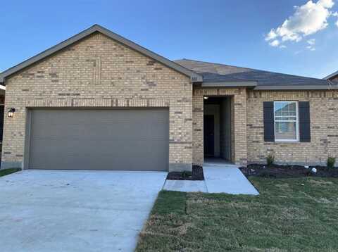 801 Cedar Elm Drive, Anna, TX 75409