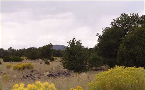 Lot 4 Pinon Trails, Quemado, NM 87829