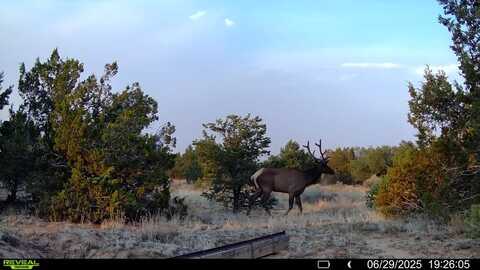 83 Bear Valley Road, Pinehill, NM 87321