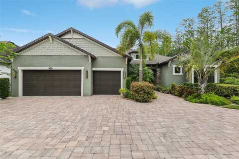 12912 CYPRESS ESTATES PLACE, TAMPA, FL 33624