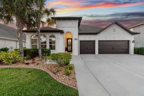 1781 TONKA TERRACE, WESLEY CHAPEL, FL 33543
