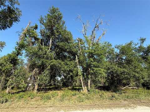 Null OWENS DRIVE, ZEPHYRHILLS, FL 33540