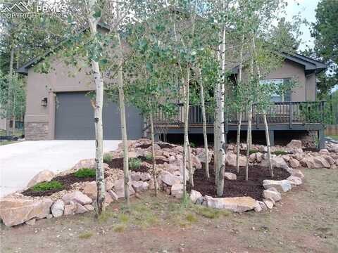 1165 Ptarmigan Drive, Woodland Park, CO 80863