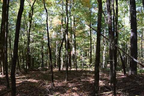 32.98 Ac Zion Hill Road, Ellijay, GA 30540
