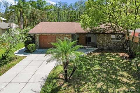 841 N Palm Springs Terrace, Crystal River, FL 34429