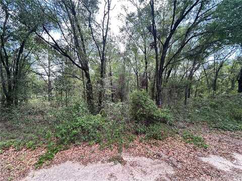816 Crestwood Avenue, Inverness, FL 34453