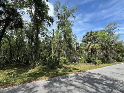 11905 W Eldred Lane, Homosassa, FL 34448