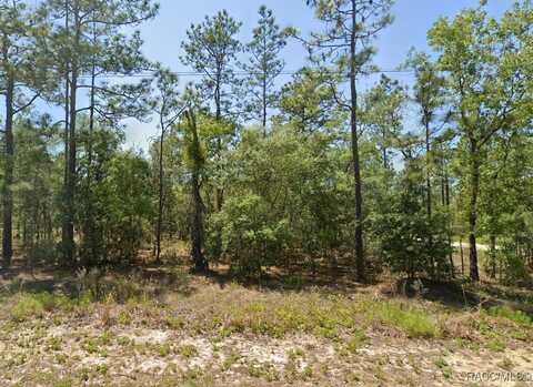 0 NW Buena Vista Road, Dunnellon, FL 34431