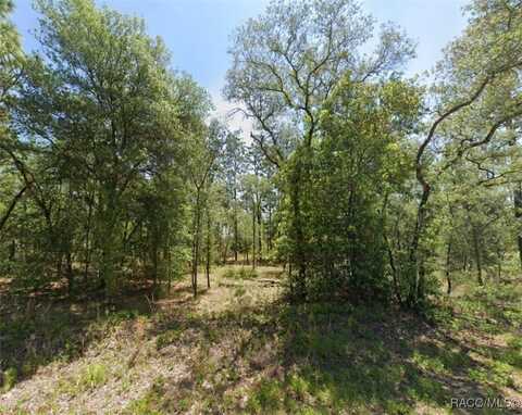 1831 NW Buena Vista Road, Dunnellon, FL 34431