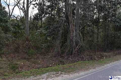 TBD N Price Road & Chinaberry Road, Florence, SC 29506