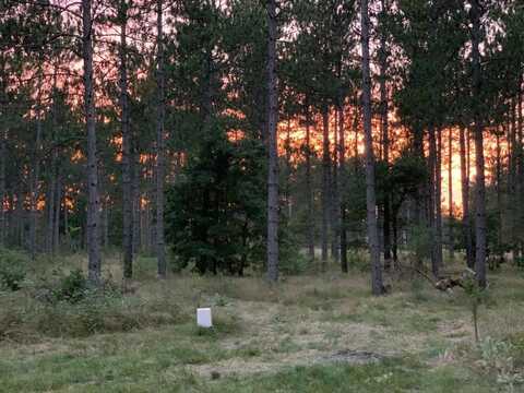 1384 AKRON Avenue, NEKOOSA, WI 54457