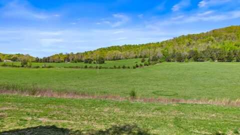 Dogtown Road, Ten Mile, TN 37880