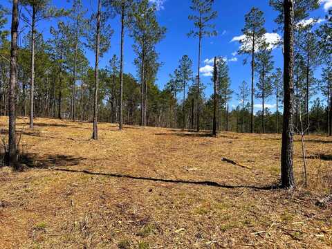 Tract 26b Hughes Lake Road Se, Cleveland, TN 37323