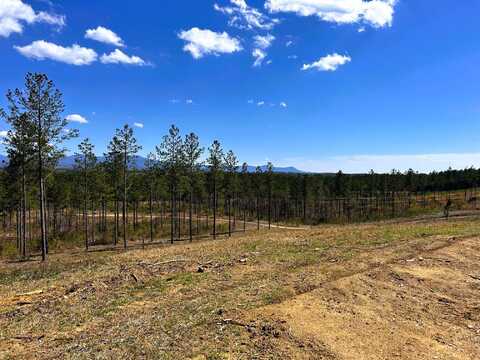 Tract 26a Hughes Lake Road Se, Cleveland, TN 37323