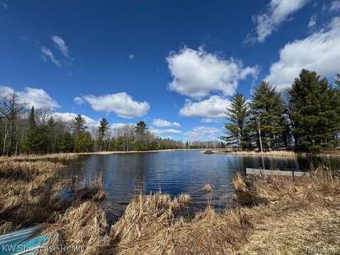 XXXX Hardacre Trail, Houghton Lake, MI 48629