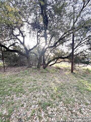 3343 Lakeview, Canyon Lake, TX 78133