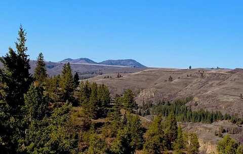 31775 E Ruffed Grouse Dr, Davenport, WA 99122