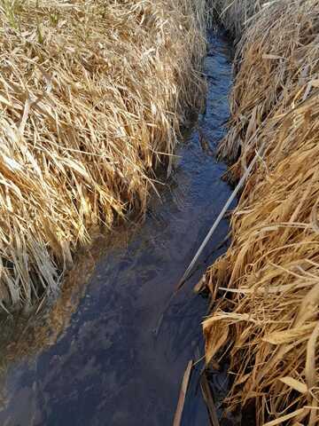 Approx 9 Acres Highway 35/61, Bloomington, WI 53804