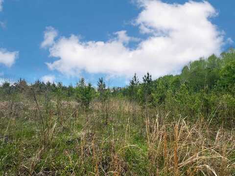 639 Settle Road, Inman, SC 29349