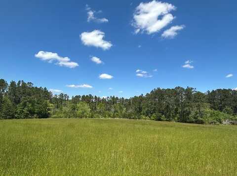 38.02 ac Old Thomasville Rd, Ochlocknee, GA 31773