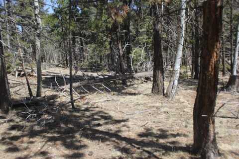 Lot 361 Vail Loop, Angel Fire, NM 87718