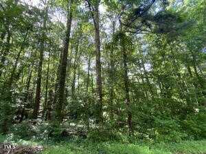 0 Phillips Drive, Sanford, NC 27330