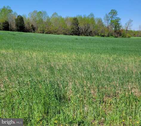0 NEWMANS NECK RD, HEATHSVILLE, VA 22473