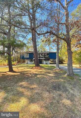 24 HOLLY ROAD, REHOBOTH BEACH, DE 19971
