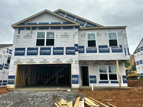 124 Golden Rod Drive, Bluff City, TN 37618