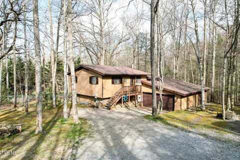 120 Misty Way, Cosby, TN 37722