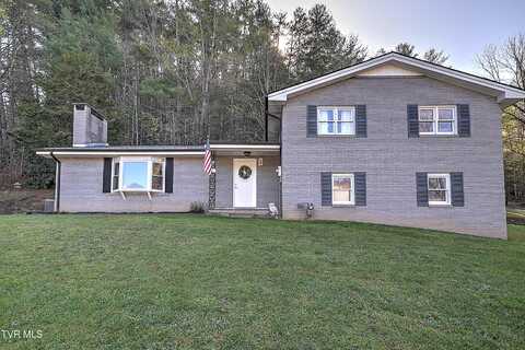 115 Freeman Silvers Road, Erwin, TN 37650